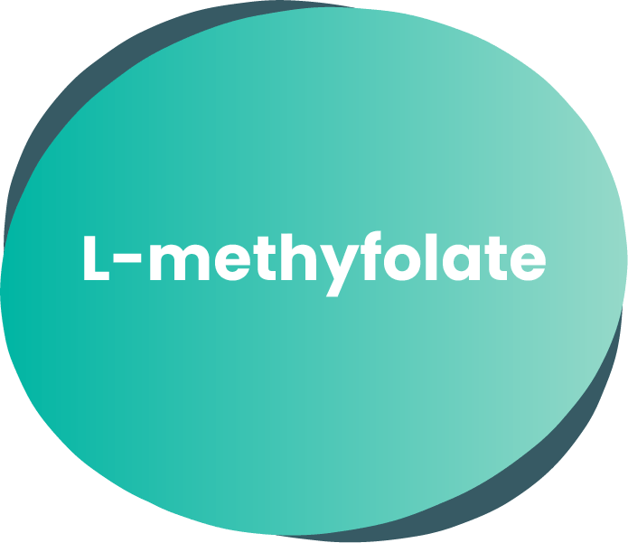 • Improves the synthesis of serotonin, norepinephrine, and dopamine
• Inhibits inflammation and improves the functioning of the nervous system
• Restores the level of inhibitory neurotransmitters
• The sleep-promoting and sedative effetcs